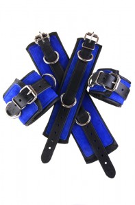 Bed Restraints Bed Restraints